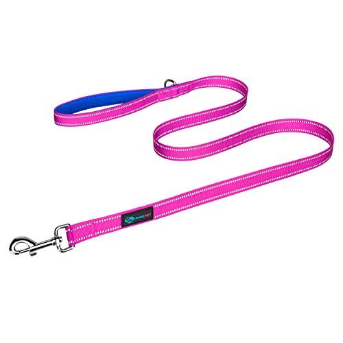 PHOEPET 5 Feet Dog Leash - Dual-Side Reflective - Soft Padded Handle - Fit for Walking, Training or Exploring Hiking, Camping (Pink + Royal Blue Base) - color: Pink + Royal Blue Base