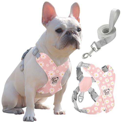 Pawaboo Small Dog Harness and Leash Set, Puppy Harness X-Frame No Pull No Choke, Dog Vest Harness Adjustable for Small Medium Sized Dogs,Soft Breathable Pet Harness for Walking Outing, L, Pink Daisy - color: B-Pink Daisy, size: L(Neck 17.3-20.5" Chest 15.