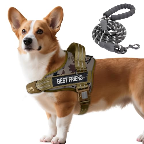 AUROTH Dog Harness and Leash Set, Soft Padded Service Dog Vest with 5.25FT Dog Leash, No Choke, Easy On Pet Vest, Adjustable Reflective No Pull Dog Harness Small Sized Dog, Easy Walking and Training - color: Desert Camo, size: Small