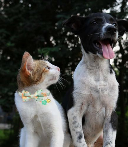 Breakaway Cat Collar with Bow Tie,2 Pack Adjustable Kitten Collars with Removeable Bowtie and Bells for Girl Boy Cats. (Green and Orange) - color: green and orange