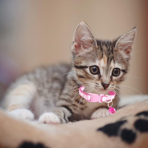 MJIYA Cat Collar with Bell, Breakaway Grid Collar with Plastic Buckle, Light Adjustable, Nylon, Kitty Collars - color: Pink