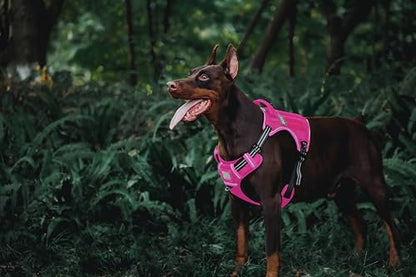 Tactical Dog Harness for Medium & Large Dogs, Rose Pink Adjustable No-Pull Control with Handle, Heavy Duty Reflective Vest - Size L - color: ROSE PINK, size: L