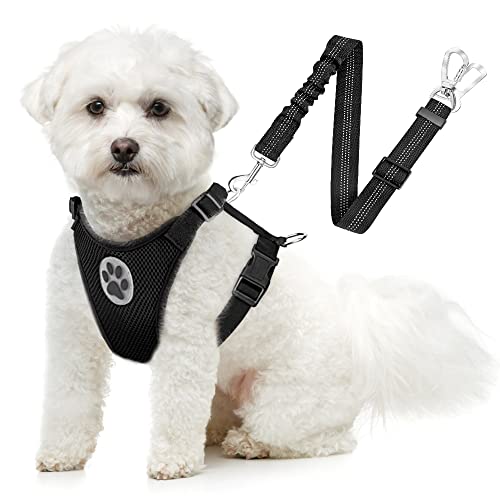 SlowTon Dog Seat Belt Harness for Car, Dog Car Harness Adjustable Mesh Breathable & Dog Seatbelt Safety Tether with Elastic Bungee for Small Medium Large Pets(Black, Double Clip, XXXS) - color: A-Black, size: XXX-Small