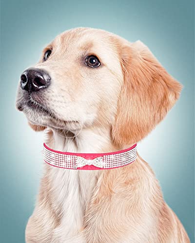Dog Collar for Small Dogs, Adjustable Leather Suede Bling Dog Collars，Pink Dog Collar Cat Collar, Rhinestone Dog Collar (XS, purple4) - color: purple4, size: XS