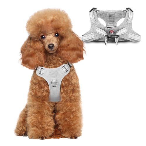 Dog Harness Step in Dog Vest Harness, Reflective Adjustable Puppy No Pull Harness Breathable Soft for Small and Medium Dogs Cats, Grey, XS - color: Grey, size: X-Small