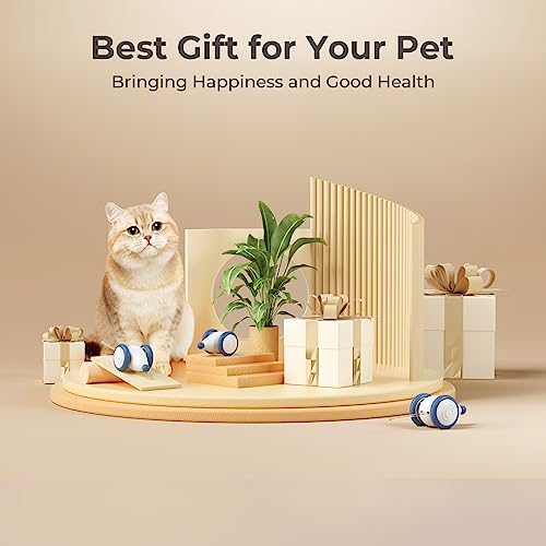 Cheerble Interactive Cat Toys for Indoor Cats, Automatic Cat Toy with LED Lights, Wicked Mouse Toys, Kitten Toys, Pet Toys, Smart Electric Cat Toy, USB Rechargeable, Auto On/Off… (Blue) - color: Blue