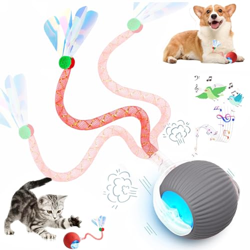 Speed 2.0 Tail Interactive Cat Toys for Indoor Cats, Chirping & Motion Activate Ca t Toy, Smart Kitten Rolling Ball Moving Ball Toys, Rechargeable Dog Cat Bal l for Enrichment Exercise (Grey) - color: Grey
