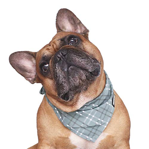 iChoue Original Print French Bulldog Bandanas Washable Bibs Adjustable Triangle Scarfs for Frenchie Pug English Boston Terrier Dogs, Green Grid, Small - color: Fashion Bandana Green Grid, size: Small ( 5 - 25 lbs )