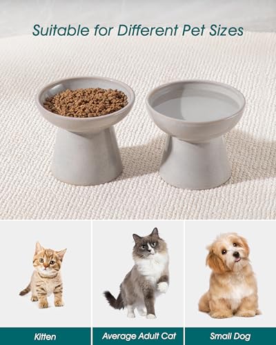 vancasso Ceramic Elevated Cat Bowls 2-Pack - 6.2" Extra Wide Raised Cat Food & Water Dishes, 5.1" Optimal Height Anti-Whisker Fatigue Shallow Bowls for Cats/Kittens/Dogs, Lead & Cadmium Free (Grey) - color: Grey
