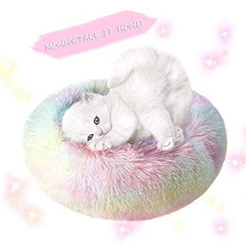 otoez Kitten Puppy Bed Extra Small XS Round Dog Cat Beds Anti Anxiety Plush Pet Calming Donut Bed with Non-Slip Waterproof Bottom, Washable (15.7", Rainbow) - color: Rainbow, size: 15.7"
