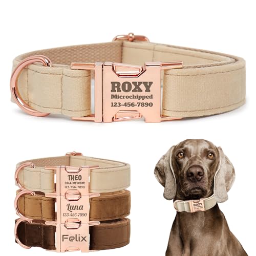 Personalized Velvet Dog Collar with Name - Custom Engraved Buckle, Adjustable Luxury Velvet Collar for Small Medium Large Dogs (Beige, L) - color: Beige, size: L