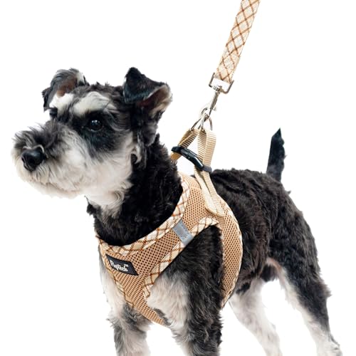 PUPTECK Dog Harness and Leash Set for Small Medium Dogs No Pull Step-in Soft Mesh Puppy Cat Vest Harnesses Reflective at Night, Beige M - color: #1 Beige(Basic Mesh), size: M(CHEST 16"-18", 11-18 lbs)