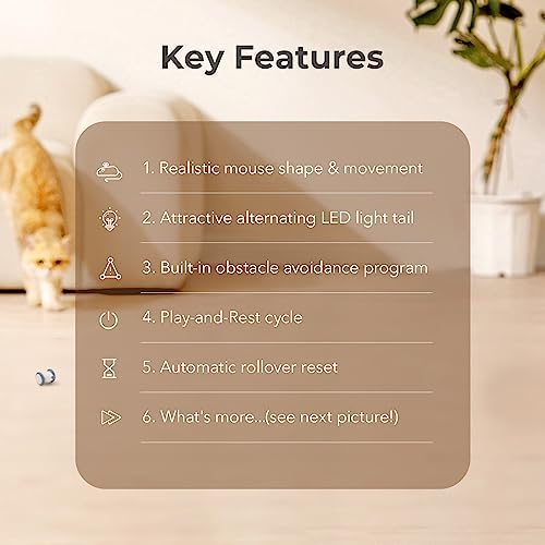 Cheerble Interactive Cat Toys for Indoor Cats, Automatic Cat Toy with LED Lights, Wicked Mouse Toys, Kitten Toys, Pet Toys, Smart Electric Cat Toy, USB Rechargeable, Auto On/Off… (Blue) - color: Blue