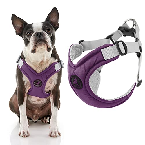 Gooby Memory Foam Step in Harness - Purple, X-Large - No Pull Small Dog Harness Patented Choke-Free X Frame - Perfect on the Go Dog Harness for Medium Dogs No Pull or Small Dogs - color: Purple, size: X-Large chest (22-28")