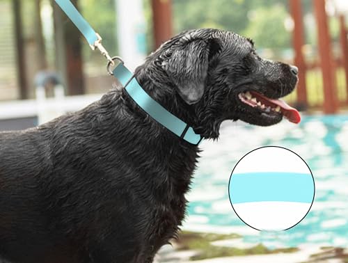 Waterproof Dog Collars,Easy Clean Collar,Adjustable Dog Collars for Small,Medium, Large Dogs (Lake Blue, S) - color: Lake Blue, size: S
