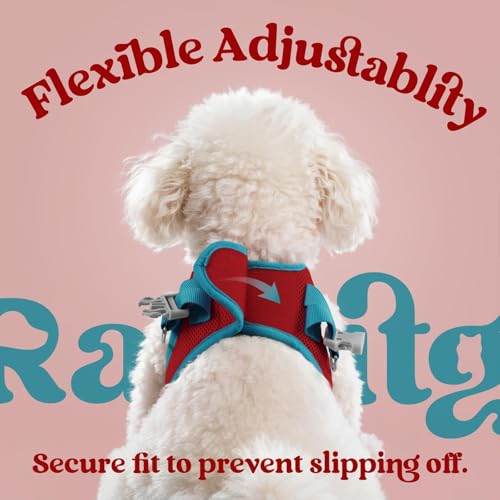 rabbitgoo Dog Harness Small Sized and Leash Set, Step-in Breathable Pet Harness, Soft Walking Reflective Puppy Vest for Small Dogs, Red & Teal, XS - color: Red & Teal, size: XS (Chest: 13.3 - 15.5")