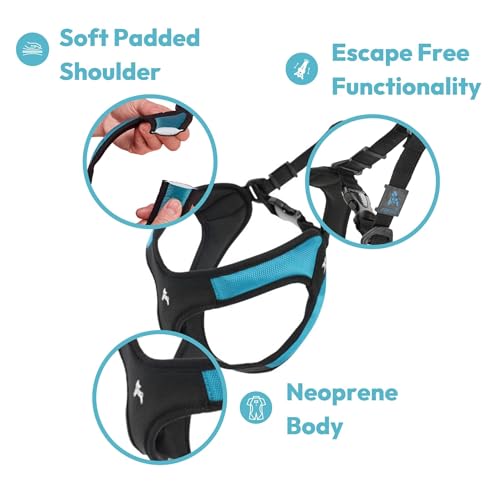 Gooby - Escape Free Easy Fit Harness, Small Dog Step-In Harness for Dogs that Like to Escape Their Harness, Blue, X-Small - color: Blue, size: X-Small chest (15~17.25")