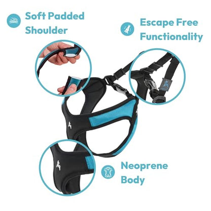 Gooby - Escape Free Easy Fit Harness, Small Dog Step-in Harness for Dogs that Like to Escape Their Harness, Turquoise, Medium - color: Turquoise, size: Medium chest (18~21.75")