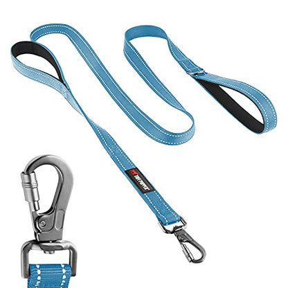 Tuff Pupper Heavy Duty Double Handle Leash | Twist Locking Carabiner Clip | Safety Lock for Strong Dogs | Reflective for Safe Night Walks | 6 Foot Leash | For Medium & Large Dogs - color: Teal
