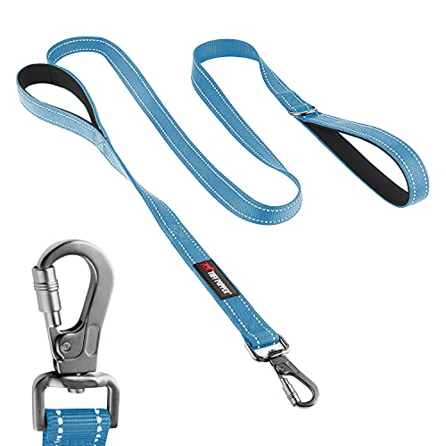 Tuff Pupper Heavy Duty Double Handle Leash | Twist Locking Carabiner Clip | Safety Lock for Strong Dogs | Reflective for Safe Night Walks | 6 Foot Leash | For Medium & Large Dogs - color: Teal