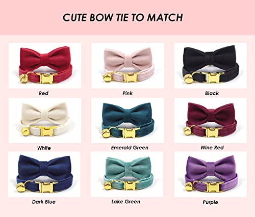 Personalized Cat Collar with Engraved Name and Phone Number - Customizable Kitten Collars for Boys and Girls (Velvet) - color: Velvet