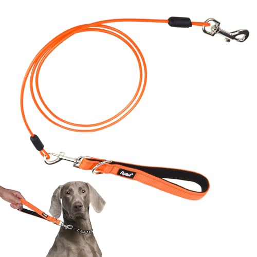 PUPTECK Chew Proof Dog Leash with Detachable Short Leashes Padded Handle Reflective, Heavy Duty Steel Cable Lead for Small Medium Large Dogs Training Walking, Orange 4.9ft - color: Orange