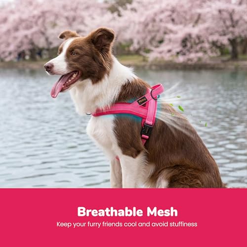 Didog No Pull Dog Harness with Soft Mesh Padded,Reflective & Quick Fit Light Weight Dog Strap Vest Harness,Easy for Walking Training (M:Chest 21-26", Pink) - color: Pink, size: M: Chest 21-26", Fit 28-50 lbs