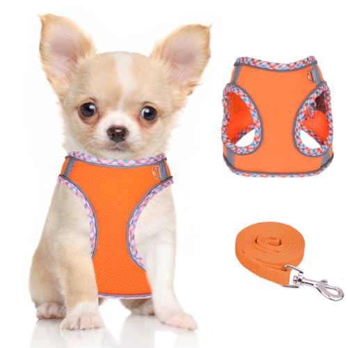 Dog Harness for Small Medium Dogs No Pull Adjustable Step in Puppy Harness and Leash Set,Reflective Breathable Mesh Pet Harnesses Soft Padded Vest for Dogs Easy to Put on… - color: Orange, size: XXS