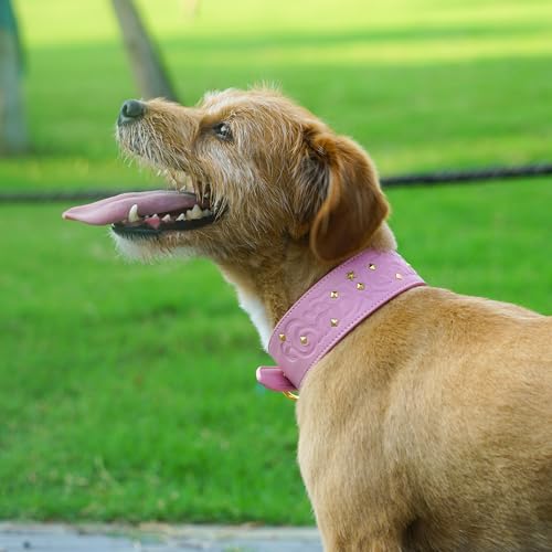Blueberry Pet Premium Embossed Pink Glam Silver-Powered Freshness Microfiber Leather Dog Collar with Gold Studs - color: Pink, size: Medium