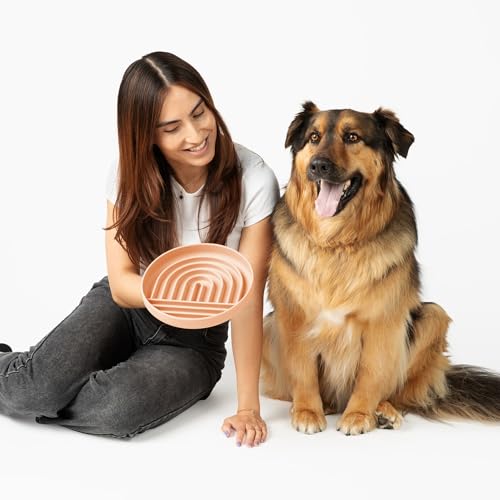 Should We Go? Slow Feeder for Dogs & Puppies, The Slowdown Bowl Silicone Slow Eating, Modern Lick Mat Design, Reduces Gulping, Fits 2.5 Cups, 9.5” Across x 1.5” Tall, Mealtime Challenge, Large-Blush - color: Blush - Rainbow Design, size: Large (9.5” Acros