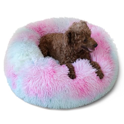 nononfish Calming Donut Beds for Small Dog Washable, 19 Inch Fluffy Round for Puppies, Cats & Toy Breeds with Raised Rim, Fits up to 15 lbs Pets, Multi Colored - color: Rainbow, size: 19 inches