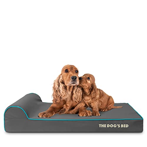 The Dog’s Bed Orthopedic Memory Foam Dog Bed with Headrest, Calming Surface – CertiPUR-Certified Foam, Oxford Fabric, Grey with Blue Trim, Large, 4-Inch - color: Grey with Blue Trim, size: Large (4" deep)