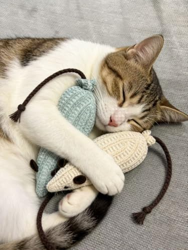 2 Pack Cat Mouse Toy Mouse Toys for Cats Cat Toy Mouse Cat Toys Mice Soft Plush Cat Chew Toy with Catnip for Kitten Interactive Play