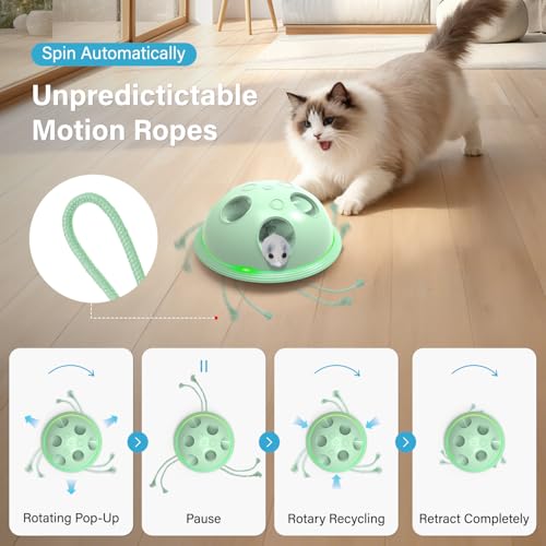 Pawingcat Automatic Cat String Toy 6 Holes Whack a Mole Cat Toy with Plush Running Cat Mouse Toy Hide and Seek Interactive Cat Toys for Indoor Cats（Green） - color: Green