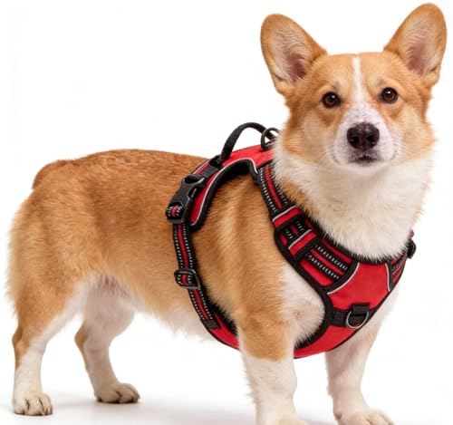Red No-Pull Dog Harness with 2 Leash Clips，Soft Padded Vest for Small Dog, Adjustable Reflective Dog Vest Easy to Put on and Take Off,(Neck: 13"~17", Chest: 17"~21",Red Small) - color: Red, size: Small