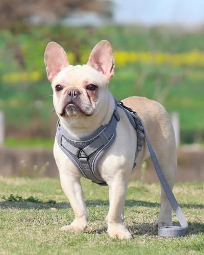 Reflective Adjustable Dog Harness with Leash Breathable No-Pull Pet Vest for Walking and Training DJA702-04S - color: Grey, size: Small