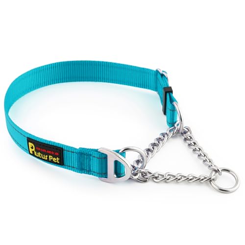 Plutus Pet Martingale Dog Collar with Stainless Steel Chain and Reflective Nylon, Adjustable No Pull Training Collar, for Small Medium, and Large Dogs, Cyan, S - color: Cyan, size: Small