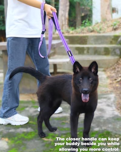 AUBELL Double Handle Tactical Dog Leash Heavy Duty for Small and Medium Large Dogs,Reflective Adjustable Nylon Leash that Pull with Car Seatbelt for Training,4.5-6FT,Purple - color: No bungee-Purple(4.5-6FT)