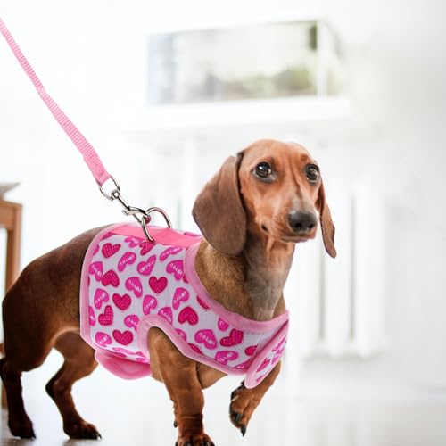 VOSAREA Pet Harness with Leash Breathable Mesh Vest Strap Adjustable Soft S Size for Small Dogs Summer Cooling Puppy Harness