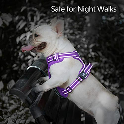 PoyPet No Pull Dog Harness, No Choke Reflective Dog Vest, Adjustable Pet Harnesses with Easy Control Padded Handle for Small Medium Large Dogs(Purple Matching Trim,XS) - color: Purple(Matching Trim), size: XS