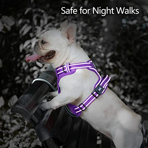PoyPet No Pull Dog Harness, No Choke Reflective Dog Vest, Adjustable Pet Harnesses with Easy Control Padded Handle for Small Medium Large Dogs(Purple Matching Trim,XS) - color: Purple(Matching Trim), size: XS