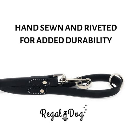 Regal Dog Products Waterproof Leash – 5 ft. Black Dog Leash with Easy to Use Collar Hook, Lightweight, and Proof Training Pet Lead with Vinyl-Coated Webbing for Small, Medium, Large, or XL Dogs - color: Black