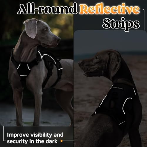 rabbitgoo Escape Proof Dog Harness, Soft Padded Full Body Pet Harness, Reflective Adjustable No Pull Vest with Lift Handle and Leash Clip for Large Dogs Walking Hiking Training, M, Black - color: Black, size: Medium (Pack of 1)