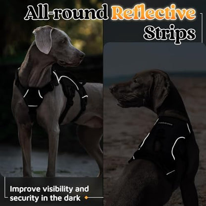 rabbitgoo Escape Proof Dog Harness, Soft Padded Full Body Pet Harness, Reflective Adjustable No Pull Vest with Lift Handle and Leash Clip for Large Dogs Walking Hiking Training, M, Black - color: Black, size: Medium (Pack of 1)