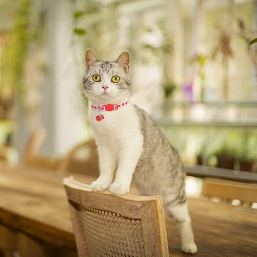 BINGPET Breakaway Cat Collar with Bell, 3 Pack Cat Collars for Girl Cats, Cute Kitty Collars Accessories with Pineapple & Cherry & Strawberry - color: Fruit-3pcs