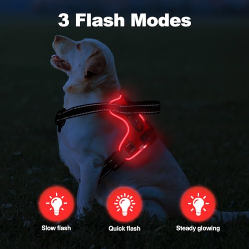 Light Up Dog Harness - LED No Pull, Rechargeable, Adjustable, Illuminated & Reflective Vest for Small, Medium & Large Dogs - color: Red, size: M