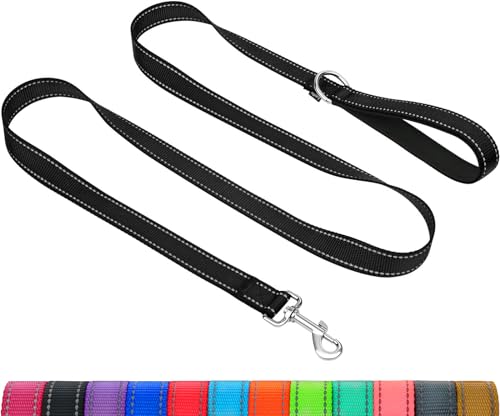 Taglory Dog Leash for Medium Large Dogs, Double-Sided Reflective for Night Walking, Neoprene Padded Handle, 1 inch by 5 ft, Heavy Duty for Medium Large Breeds 20-150 lbs, Black - color: Black, size: 1 in x 5 ft (Pack of 1)
