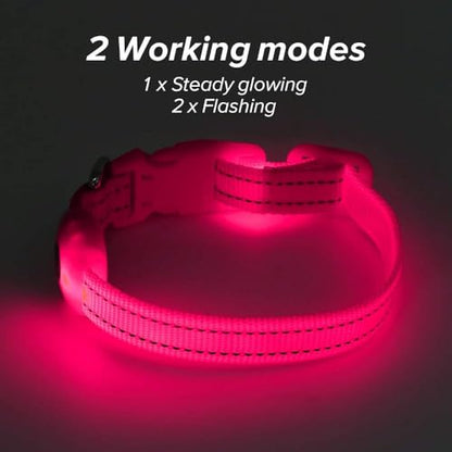 BSEEN Light Up Dog Collar - Reflective LED Dog Collar Rechargeable Glowing Pet Collar for Puppies & Cats, Safety Dog Lights for Night Walking (Pink) - color: Pink