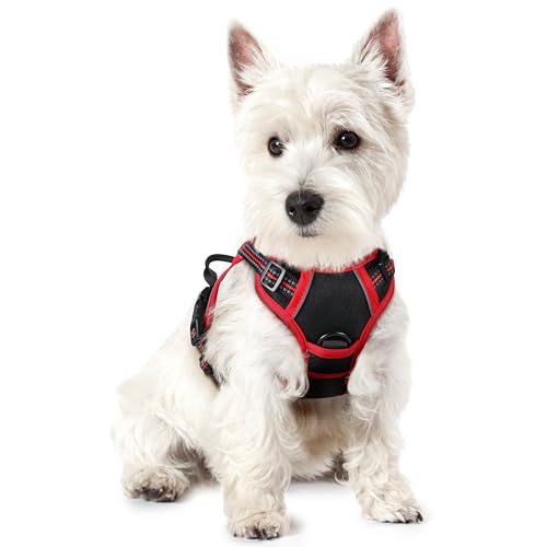 rabbitgoo Dog Harness No Pull with 2 Leash Clips, Adjustable Soft Padded, Reflective Oxford No Choke Pet Vest with Easy Control Handle for Puppy, Black & Red, XS - color: Black & Red, size: X-Small