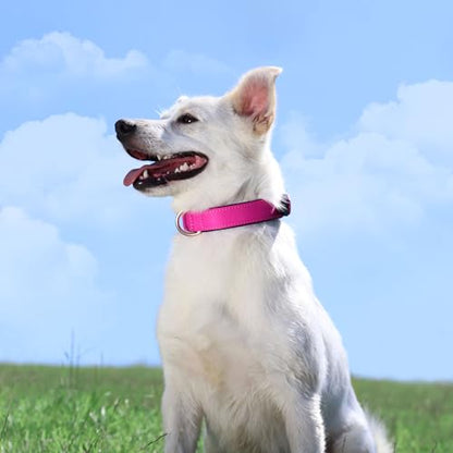 Didog Soft Padded Dog Collars for Medium Dogs, Lightweight and Breathable Dog Collar with Metal Buckle, Rose Purple, L - color: Rose Purple, size: L: Fit 13-17" Neck